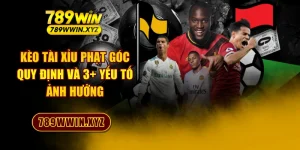 Kèo Tài Xỉu Phạt Góc - Quy Định Và 3+ Yếu Tố Ảnh Hưởng